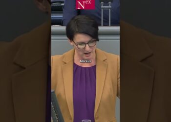 AfD-Bezug zu Epstein