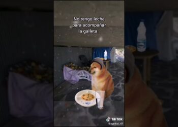 #parati #edit #cheems #doge