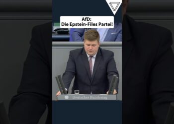 AfD: Die Epstein-Information Partei!