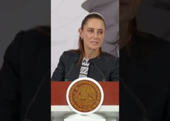 Sheinbaum frena demanda contra Elon Musk