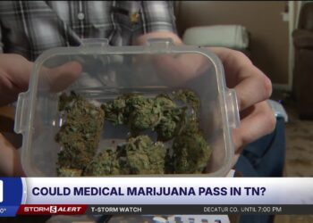 Might President Trump's marijuana order deliver medical hashish to Tennessee?