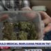 Might President Trump's marijuana order deliver medical hashish to Tennessee?