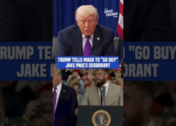 Trump tells MAGA to “go purchase” Jake Paul's deodorant after sweating by means of his swimsuit #shorts