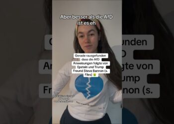 Gerade rausgefunden dass die AfD Anweisungen folgte von Epstein und Trump Freund Steve Bannon (s