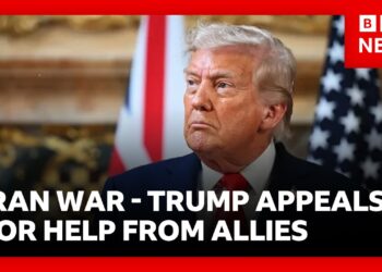 President Trump appeals to allies to assist defend Strait of Hormuz from Iran’s assaults | BBC Information