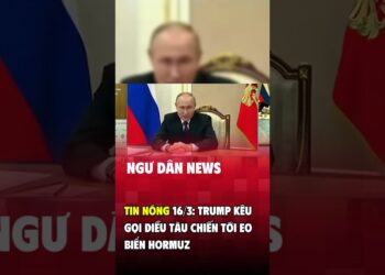 Tin nóng 16/3: Trump kêu gọi điều tàu chiến tới eo Hormuz #shorts #trump