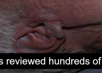 EPSTEI/BANNON:The kid molesters put in cost world-wide at the moment are seem in full cost (RELEASED)