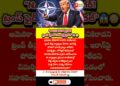 Trump Slams NATO | Calls Them ‘Paper Tiger’ Over Iran & Oil Disaster 🌍🔥 #shorts #ytshorts