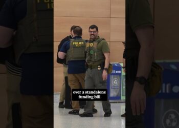 White Home Refuses Elon Musk’s Provide To Pay TSA Workers Amid Partial Authorities Shutdown