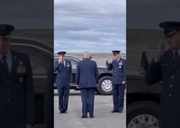 USA President Donald #trump #maga #shorts