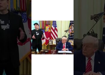 The Rise and Fall of DOGE #elonmusk #doge #trump #politics #information #politicalnews #twitter #america