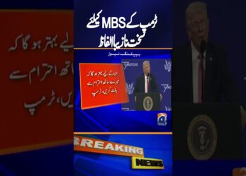 Donald Trump Criticized Worldwide Over Feedback on Mohammed bin Salman | Breaking Information