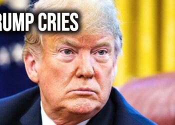 Trump RAGES At Fox Information After Community Reveals Devastating Polls