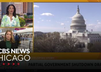 Trump orders TSA employees be paid as Congress debates DHS funding invoice