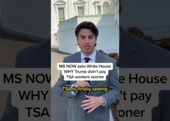 MS NOW asks White Home WHY Trump didn't pay TSA employees sooner