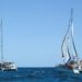 Mexico launches seek for lacking sailboats carrying assist to Cuba