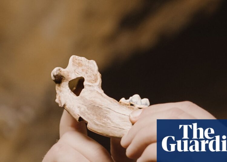 Bond between canines and people dates again greater than 15,000 years, research finds | Animal behaviour Bond between canines and people dates again greater than 15,000 years, research finds | Animal behaviour