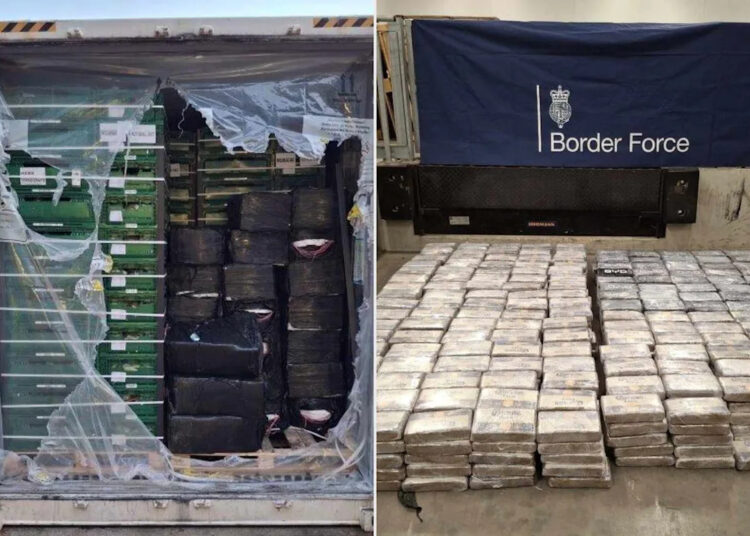 3 Males Charged as Police Discover Almost 0M Price of Cocaine Hidden in Bananas 3 Males Charged as Police Discover Almost 0M Price of Cocaine Hidden in Bananas