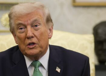 Rebuffed by allies, Trump now says U.S. does not need assistance defending the Strait of Hormuz