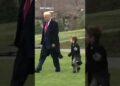 Musk’s son ‘Little X’ joins Trump earlier than boarding Marine One Musk’s son ‘Little X’ joins Trump earlier than boarding Marine One