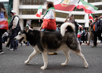 Iranian People confront pro-regime protesters Iranian People confront pro-regime protesters