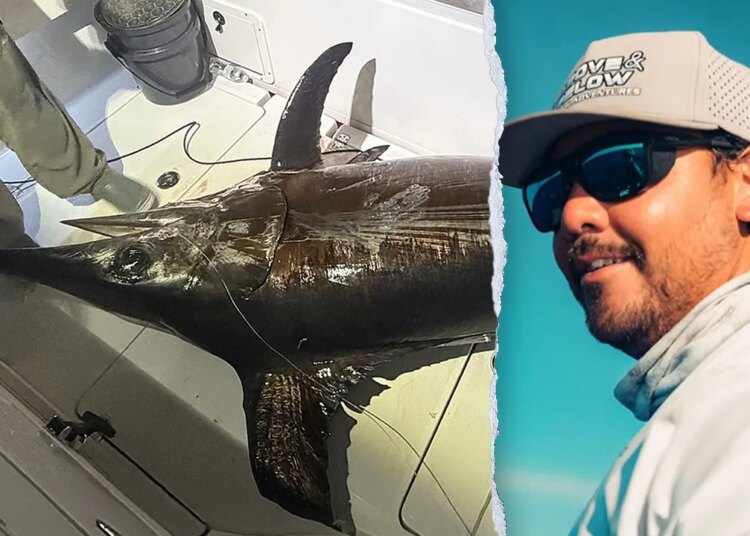 Florida Keys captain lands 480-pound swordfish with Pennsylvania household