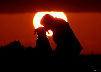 People and canines — scientists discover new proof of historical bond