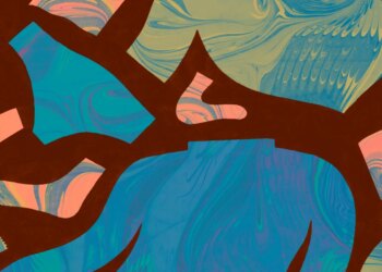 Lipase and Spa Day: How “Kismai” is altering how everybody does laundry