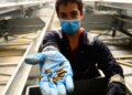 Insect farming startups obtained billion to develop bugs for human meals — and livestock feed. Now the trade is collapsing. Insect farming startups obtained billion to develop bugs for human meals — and livestock feed. Now the trade is collapsing.