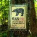 Touring to Japan? Bear assaults are rising — and right here’s why.
