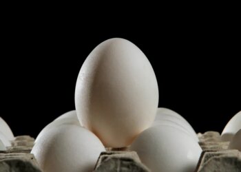 America’s greatest meals firms promised they’d solely promote cage-free eggs by now. What occurred?