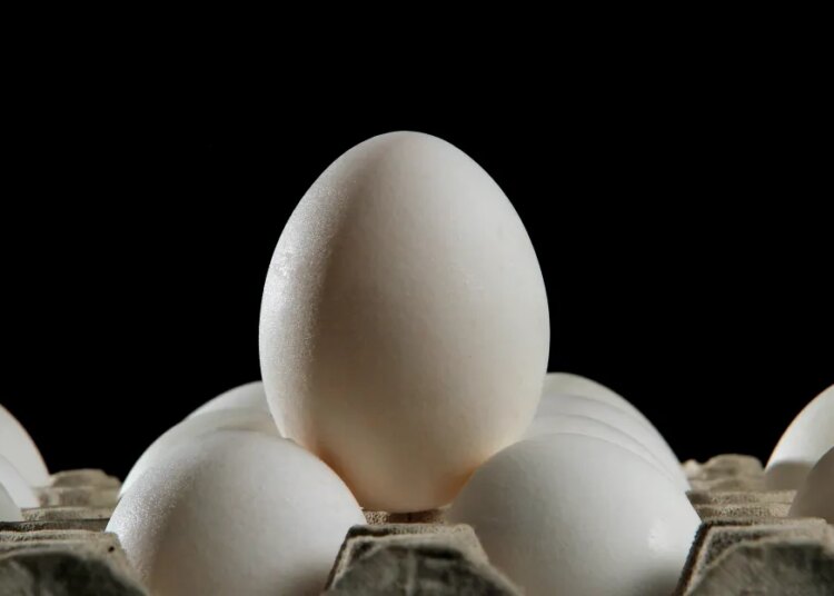 America’s greatest meals firms promised they’d solely promote cage-free eggs by now. What occurred?