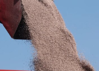 The Iran battle threatens one thing extra vital than oil costs