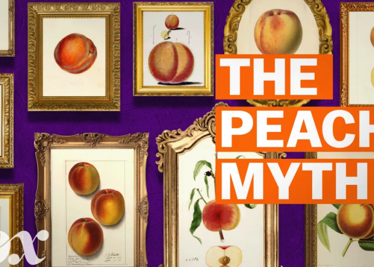 How Georgia manufactured the peach state delusion