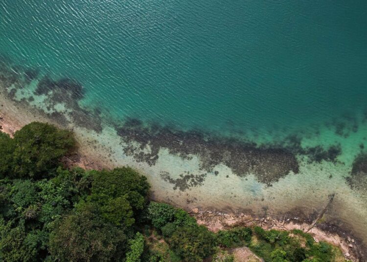 Sea ranges a lot greater than beforehand thought because of “methodological blind spot,” research finds