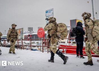 Denmark deliberate to explode Greenland runways if US invaded, reviews say – BBC