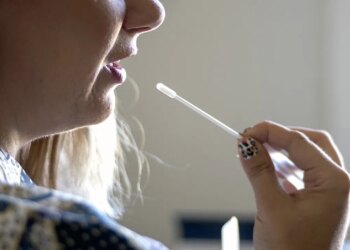 Family tree websites might expose private information to scammers