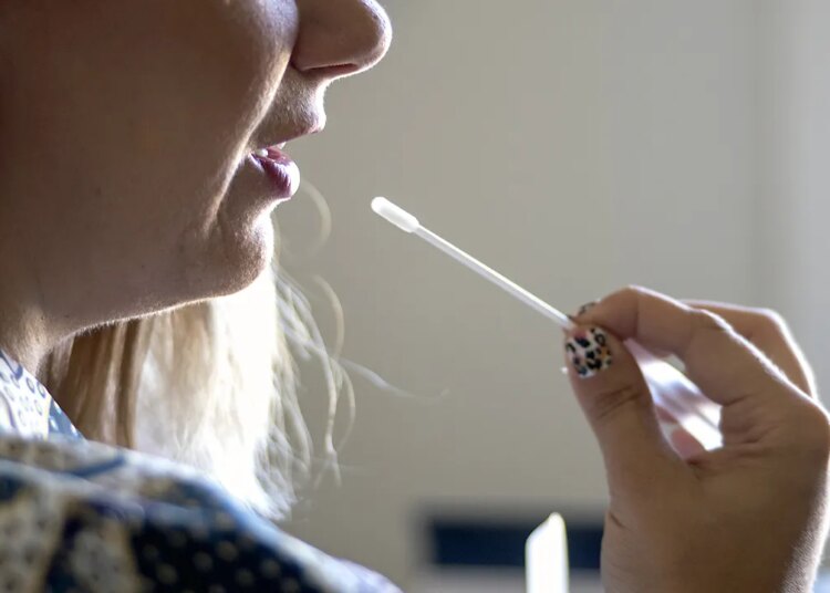 Family tree websites might expose private information to scammers