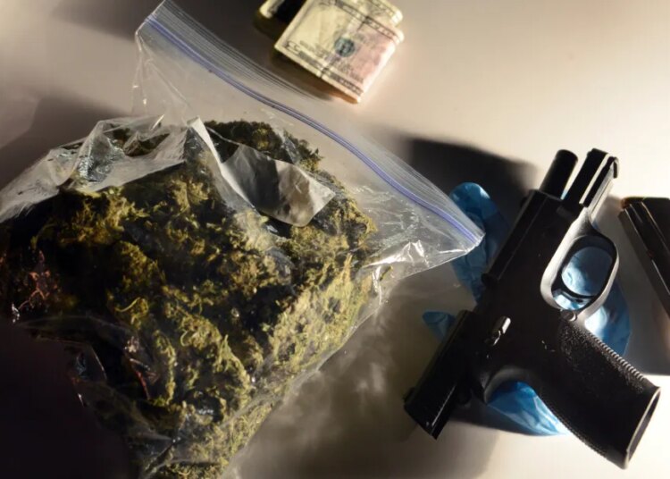 The Supreme Courtroom seems more likely to let stoners personal weapons, in US v. Hemani