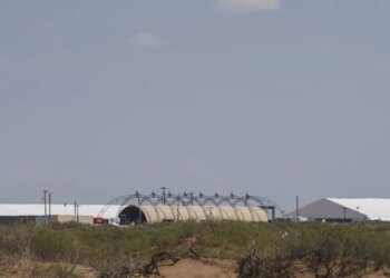 How many individuals have died in ICE custody this 12 months?