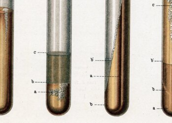 The world’s deadliest infectious illness is on the rise within the US