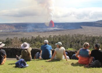 Fox Information Life-style Publication: March 3-10, 2026