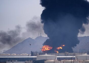 Iran is attempting to present the worldwide financial system a ‘coronary heart assault,’ UAE official says