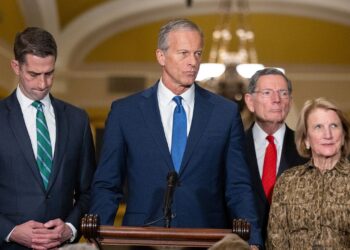 Thune says speaking filibuster has by no means handed a invoice in Senate historical past