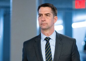 Cotton says Democrats’ ‘mood tantrum’ fueling TSA chaos nationwide