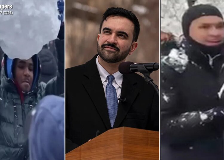 Washington Sq. Park snowball battle results in second arrest