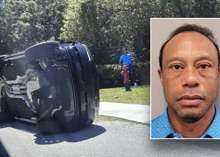 Tiger Woods’ mugshot launched | Fox Information