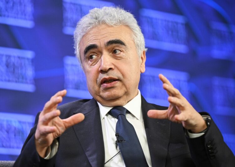 Worldwide Vitality Company head says world economic system faces main risk