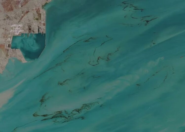 Satellite tv for pc photographs present oil spills close to Strait of Hormuz harming ‘total ecosystem’