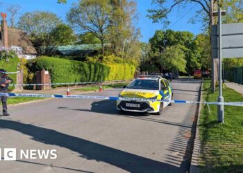 Arson assaults 'gathering momentum', Chief Rabbi says – BBC